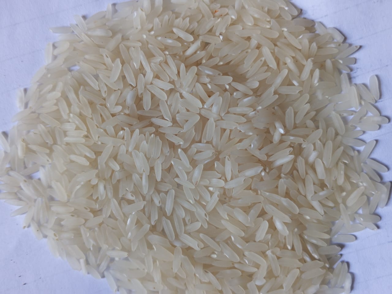 BIDHAA1BIDHAA1BIDHAA1BIDHAA1BIDHAA1