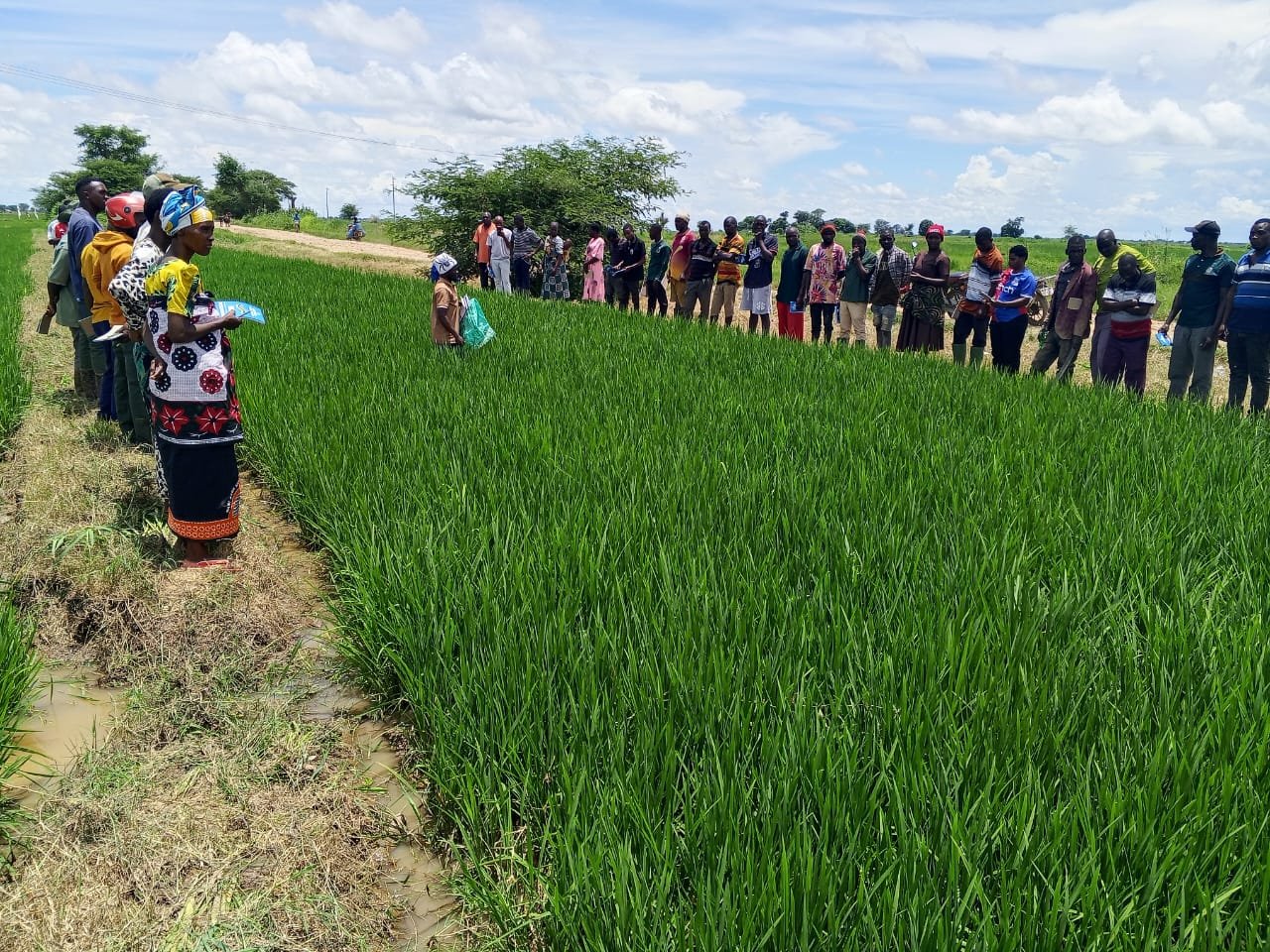 Agricultural Consultation